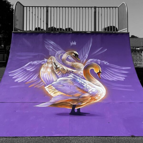 Chacewater Skate Park ramp with street art by Tech Moon. Swans in celebration of HM Queen's Platinum Jubilee