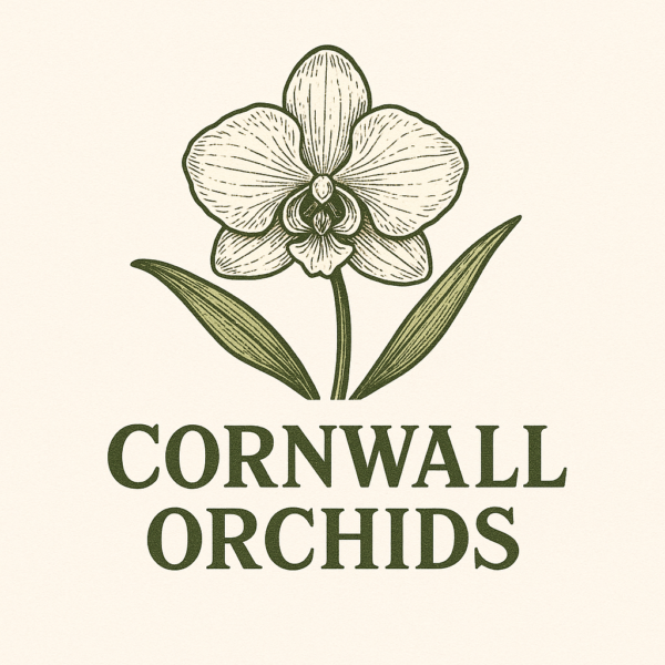 Logo of an orchid with the words "Cornwall Orchids" below.